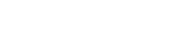 Logo Blanco BPM